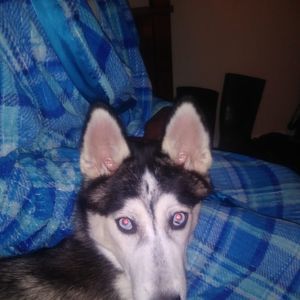 Meet your Posher, Deanna